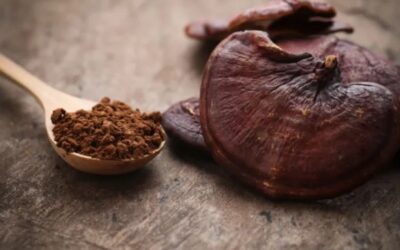 Is there caffeine in reishi?