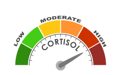 The Importance of Cortisol and How to Regulate it