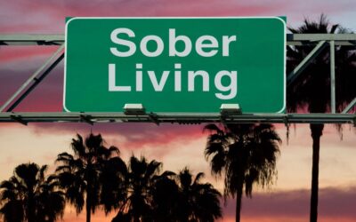 The Origins of the Sober Curious Movement