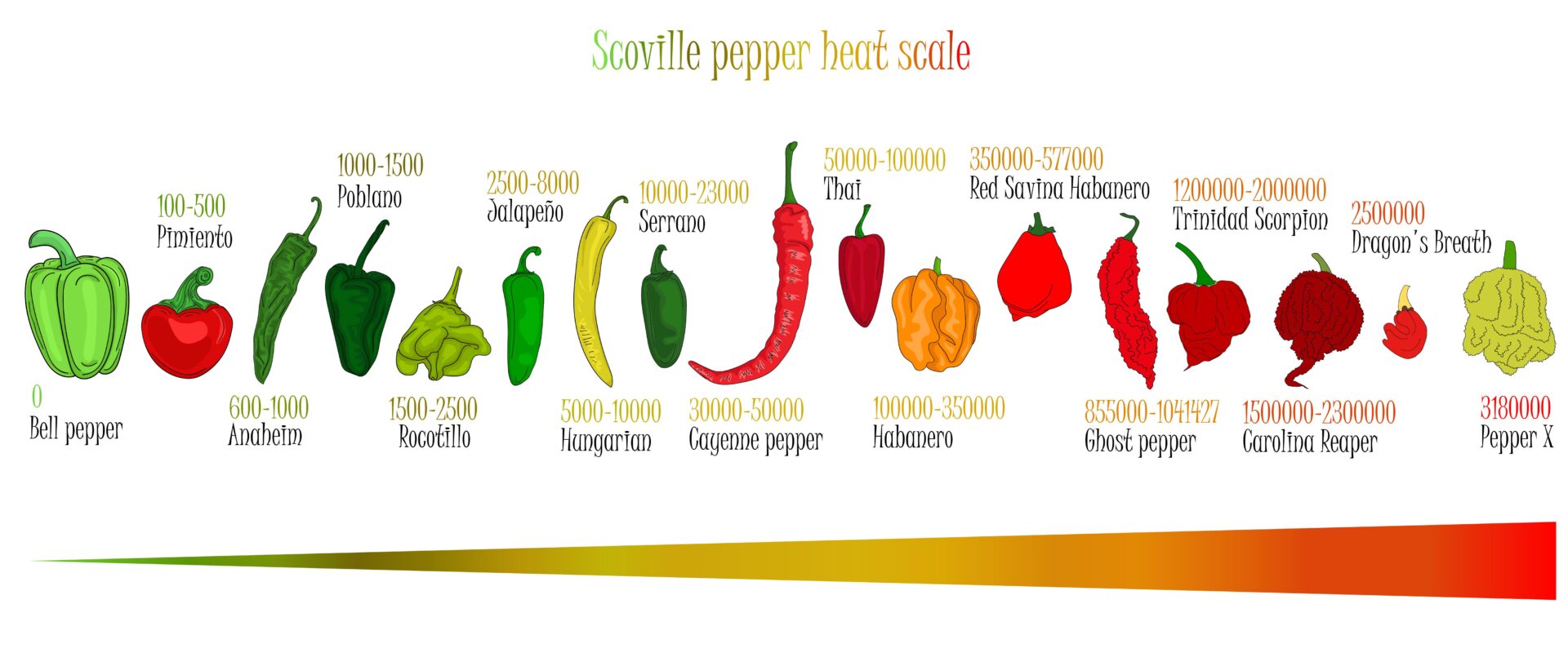 Peppers SS 2041777058