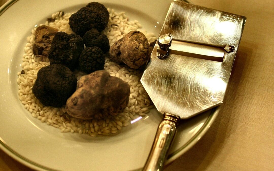 Trufflestance
