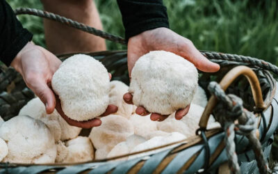 Can Lion’s Mane Help With Stress and Low Mood?