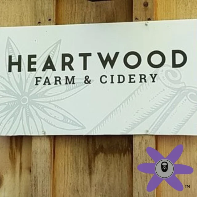 Natural processes, and the wonderful world of craft, aren’t limited to products that contain alcohol. For those challenging themselves to limit alcohol consumption through the month of January, Heartwood Sparkle is a great go-to!

Apple🍎 or Cherry🍒, our zero-proof cider options are delicious alternatives that are sure to quench your thirst.

Available for home delivery and to venues throughout ON!

Order @heartwoodcidery products on 📲 www.canthesis.ca in the Consumer and Licensee Shops!

All Artisan
All Canadian
All The Time

#Canthesis #Cando #Canjoy #Non-Alcohol #AppleCider #CherryCider #Cider #Pantry #Cows #Farm #BuyLocal #FoodAndBeverage #OrderOnline #Artisan #ArtisanProducer #Canadian #CanadianProducer #Erin #ON #ConsumerSales #ConsumerShop #LicenseeShop #LicenseeSales #dryjanuary