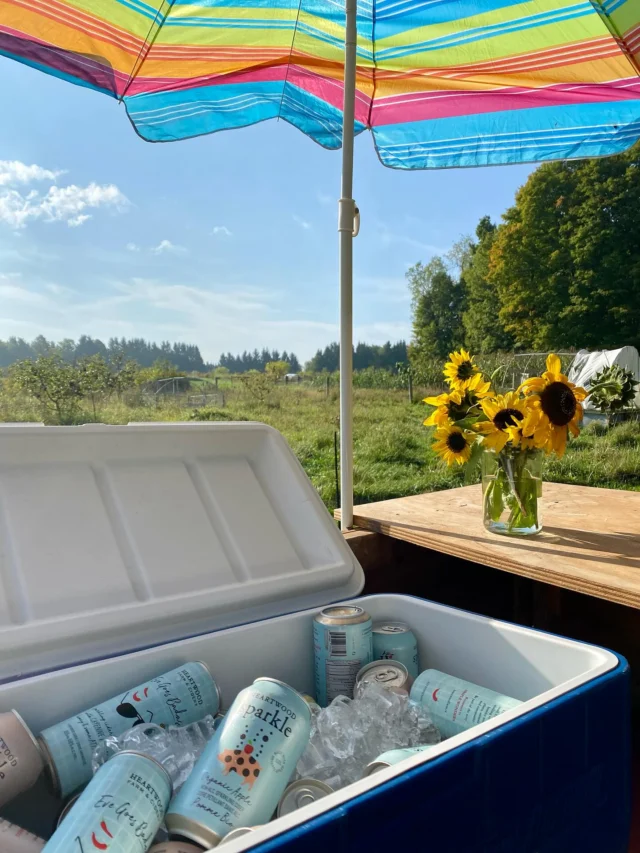 It’s ROMPING time!!! We are so excited to welcome everyone onto our farm for such an exciting day. Cold drinks? Check. Cute animals? Check. Beautiful day? Check! 
Can’t wait to see you🫶 
#ontariofarms #ruralromp #ruralrump #supportlocal #farming #heartwood