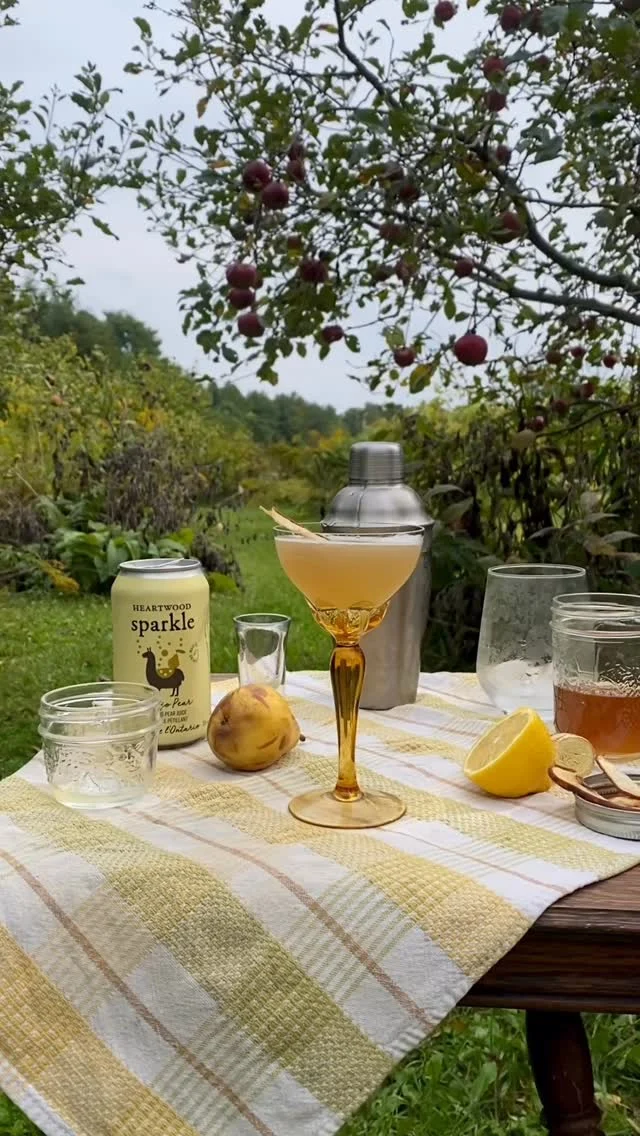 Coming to you from Heartwood 🍂✨ We’re kicking off our fall cocktail series with a Pear Ginger Sparkle — made with our very own Pear Sparkle! Perfect for Thanksgiving weekend or any cozy night in. 🍐🥂 (Can be made alcoholic or non-alcoholic!) Recipe will be in this weeks newsletter! #FallCocktails #HeartwoodDrinks #supportlocal #Fall #cocktails